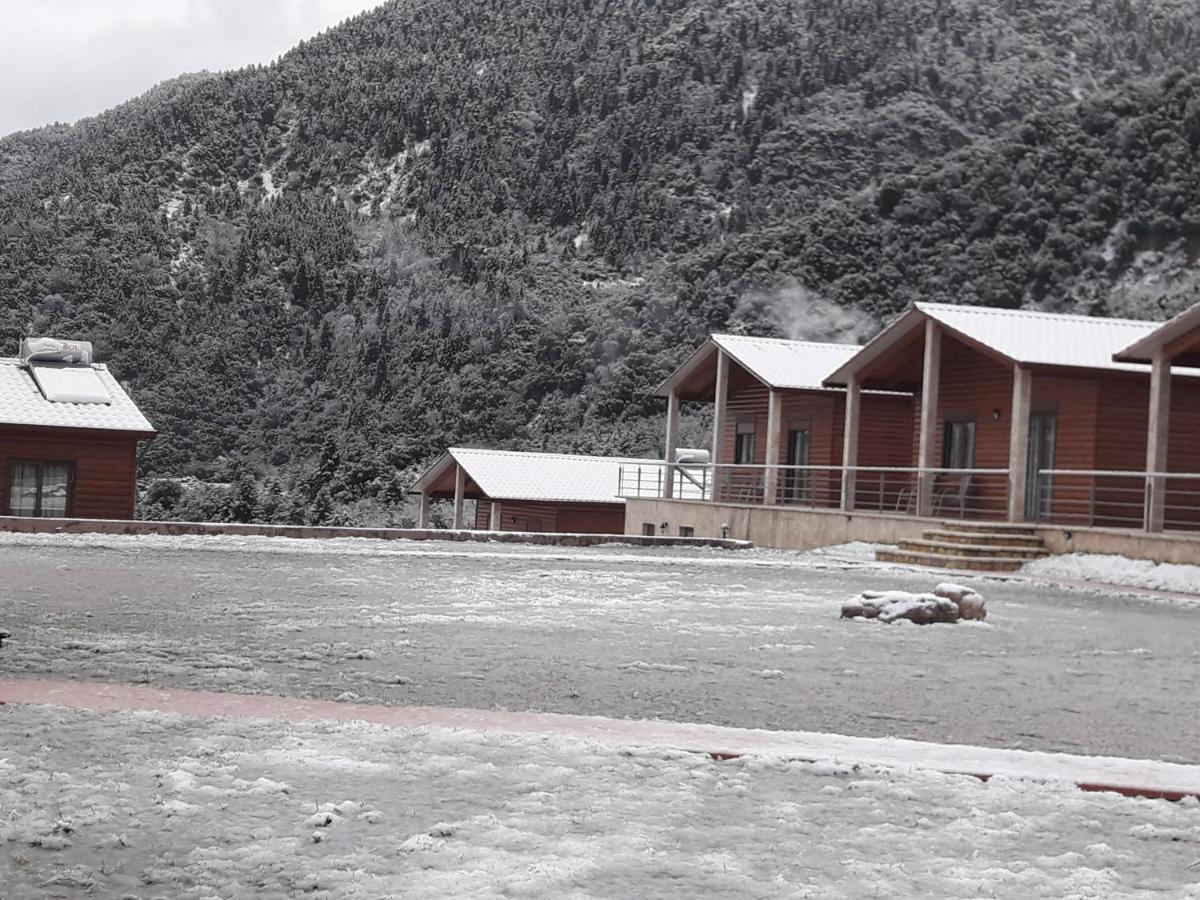 Kedros Chalet Agios Dimitrios  Екстериор снимка